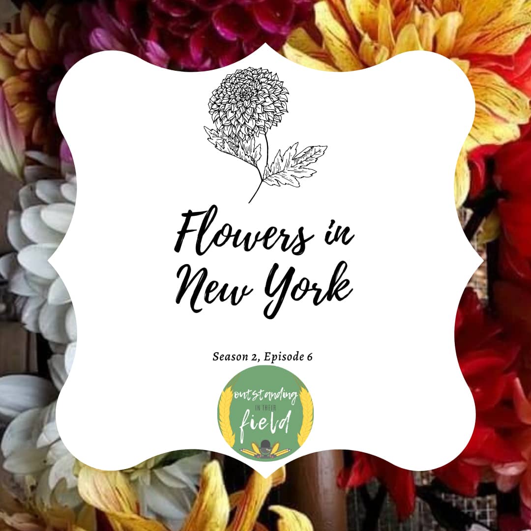 Flowers in New York