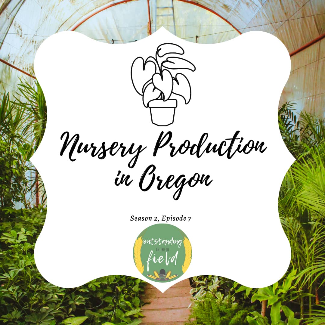 Nursery Production in Oregon