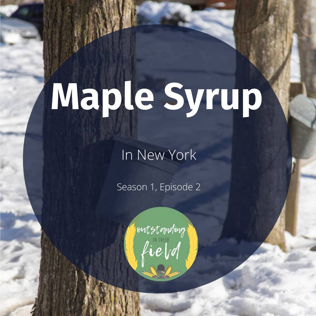 Maple Syrup in New York