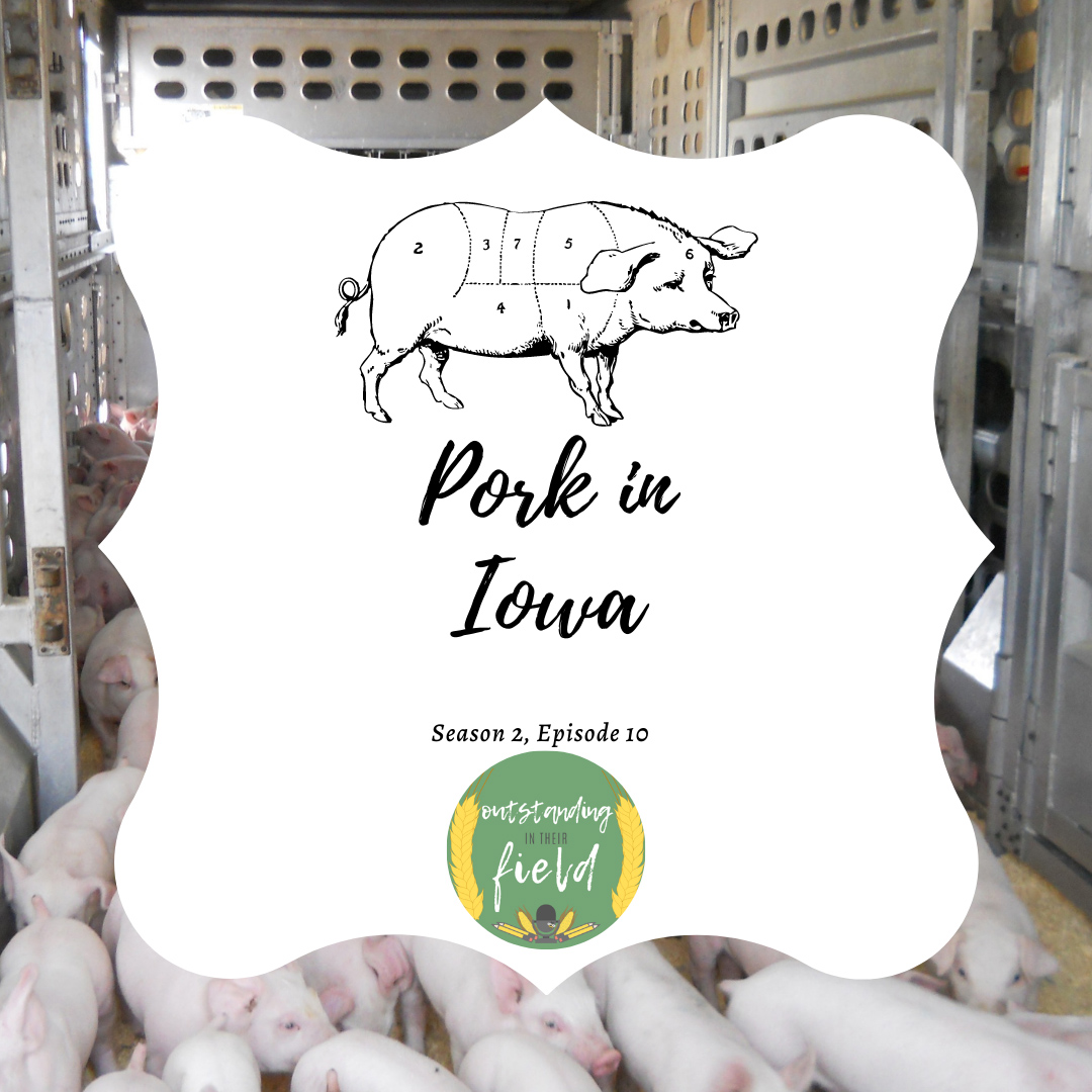 Pork in Iowa